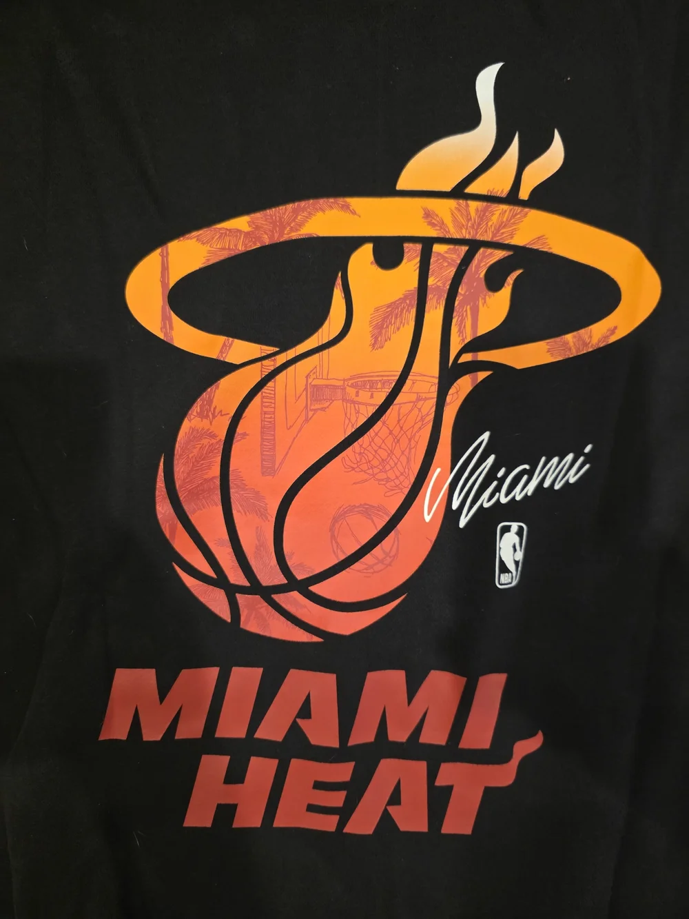 Holister Miami Heat Black Graphic Hoodie - Team Logo